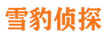 墨江外遇调查取证